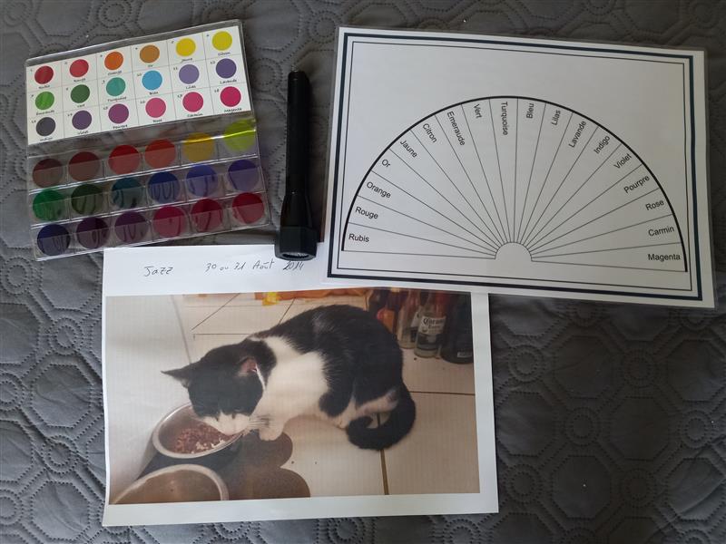 Chromothérapie animaux et humains